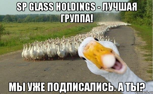 SP Glass Holdings - лучшая группа! Мы уже подписались. А ты?, Мем гуси