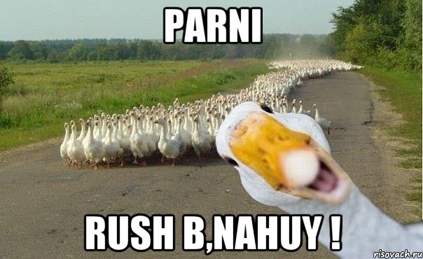 PARNI RUSH B,NAHUY !, Мем гуси