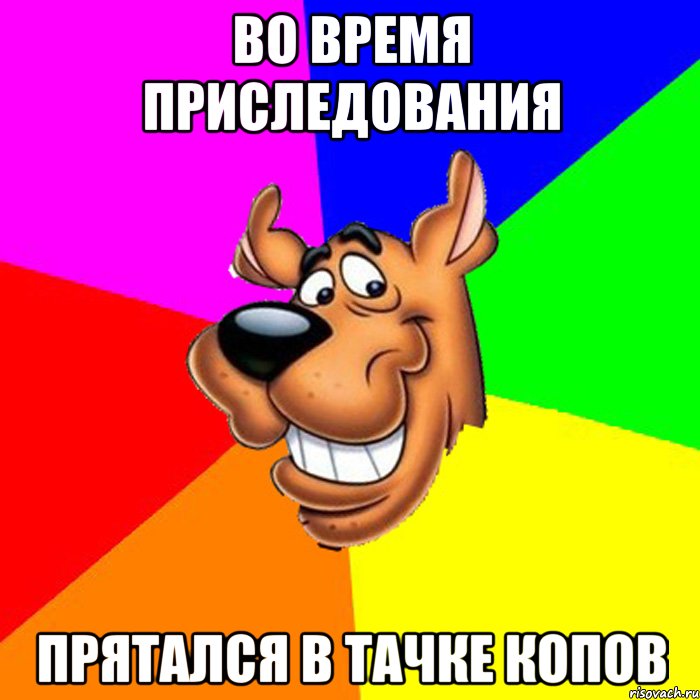 во время приследования прятался в тачке копов, Мем hardscooby