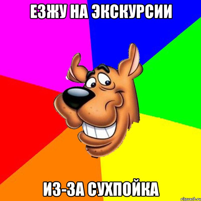 езжу на экскурсии из-за сухпойка, Мем hardscooby