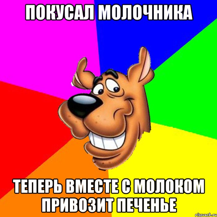 покусал молочника теперь вместе с молоком привозит печенье, Мем hardscooby