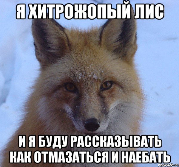 я хитрожопый лис и я буду рассказывать как отмазаться и наебать