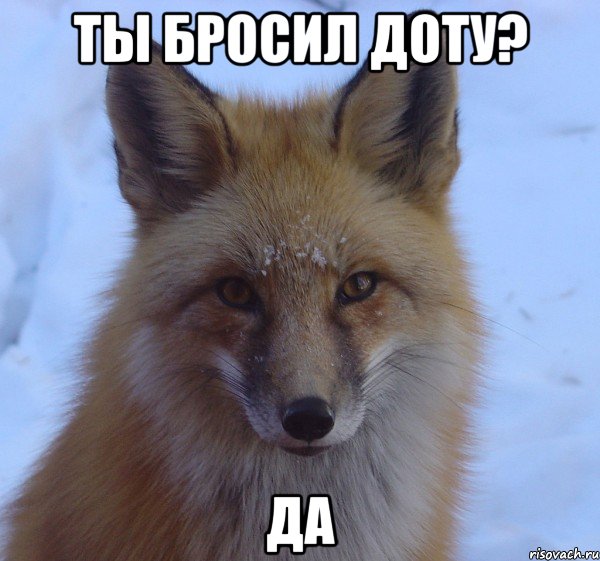 Ты бросил Доту? Да
