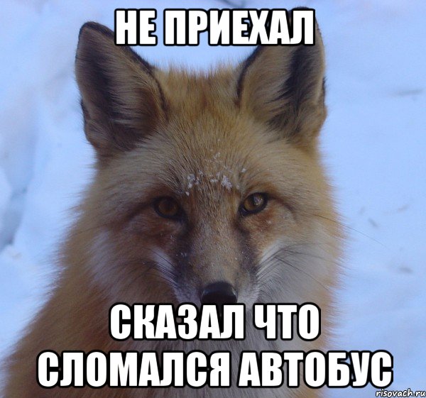 не приехал сказал что сломался автобус