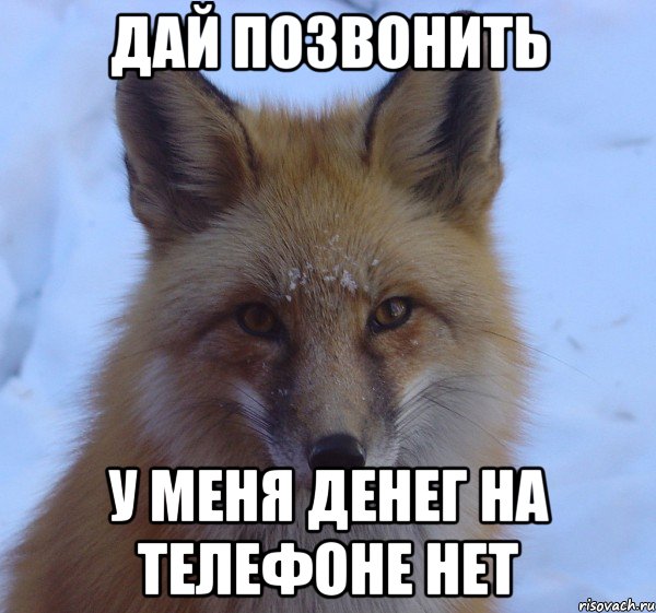 дай позвонить у меня денег на телефоне нет