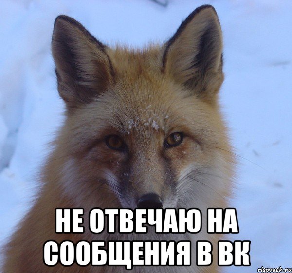 не отвечаю на сообщения в вк