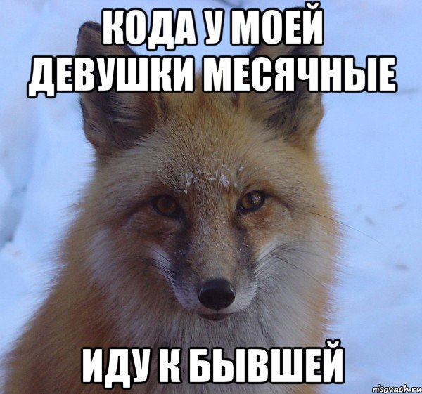 кода у моей девушки месячные иду к бывшей