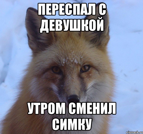 переспал с девушкой утром сменил симку