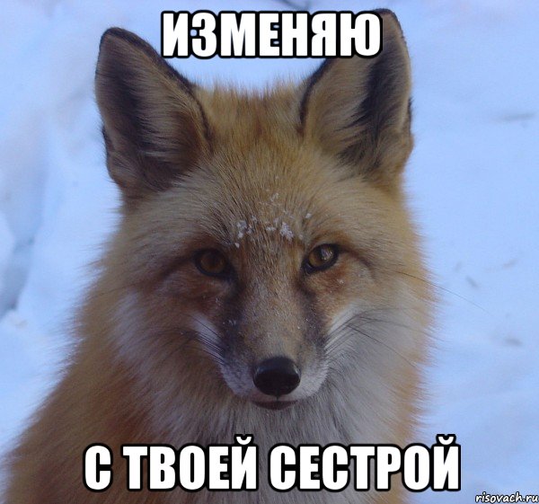 изменяю с твоей сестрой