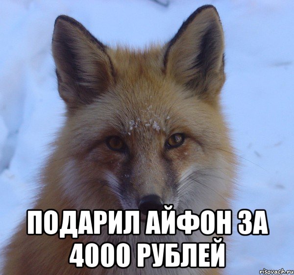  подарил айфон за 4000 рублей