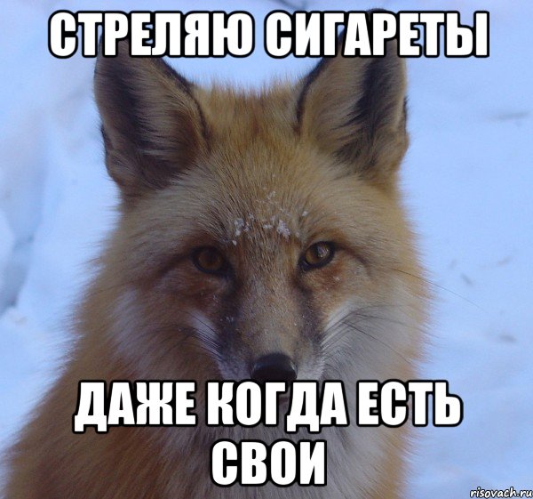стреляю сигареты даже когда есть свои