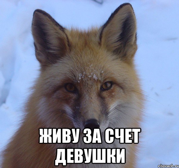  живу за счет девушки