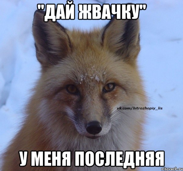 "дай жвачку" у меня последняя