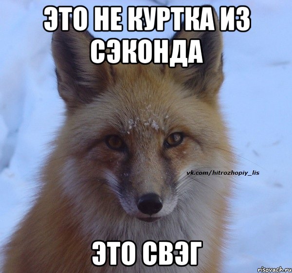 Это не куртка из сэконда Это СВЭГ