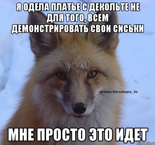 Я одела платье с декольте не для того, всем демонстрировать свои сиськи Мне просто это идет