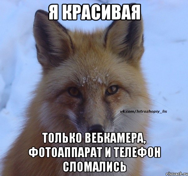 Я красивая Только вебкамера, фотоаппарат и телефон сломались