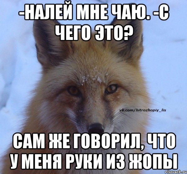 -Налей мне чаю. -С чего это? Сам же говорил, что у меня руки из жопы