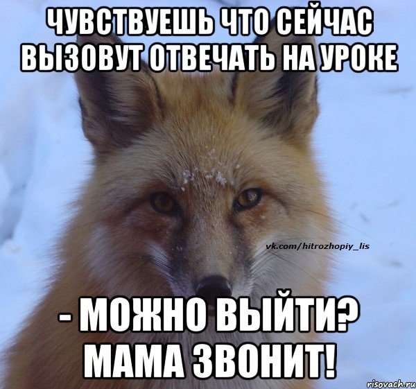 ЧУВСТВУЕШЬ ЧТО СЕЙЧАС ВЫЗОВУТ ОТВЕЧАТЬ НА УРОКЕ - МОЖНО ВЫЙТИ? МАМА ЗВОНИТ!