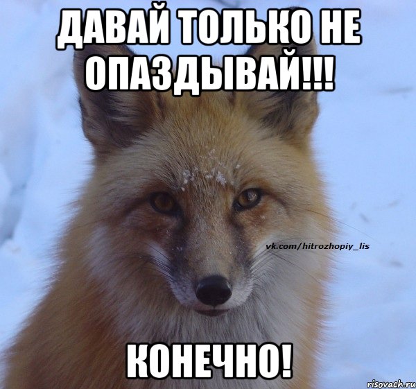 ДАВАЙ ТОЛЬКО НЕ ОПАЗДЫВАЙ!!! КОНЕЧНО!
