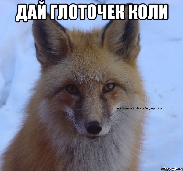 ДАЙ ГЛОТОЧЕК КОЛИ 