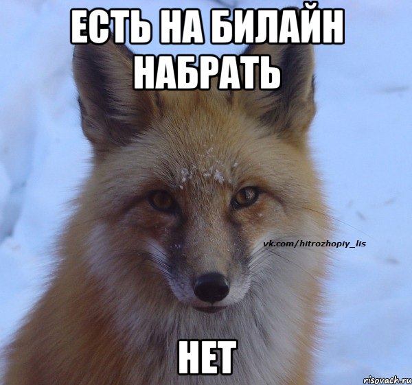 ЕСТЬ НА БИЛАЙН НАБРАТЬ НЕТ