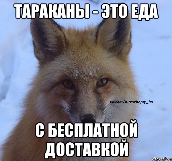 Тараканы - это еда с бесплатной доставкой