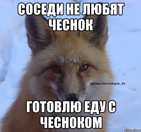 Соседи не любят чеснок готовлю еду с чесноком