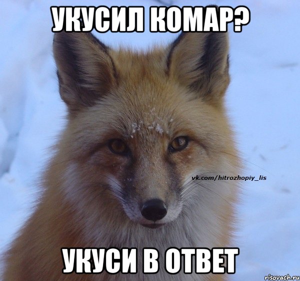 укусил комар? укуси в ответ