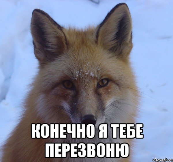 Я тебе днём позвоню Я тебе днём позвоню