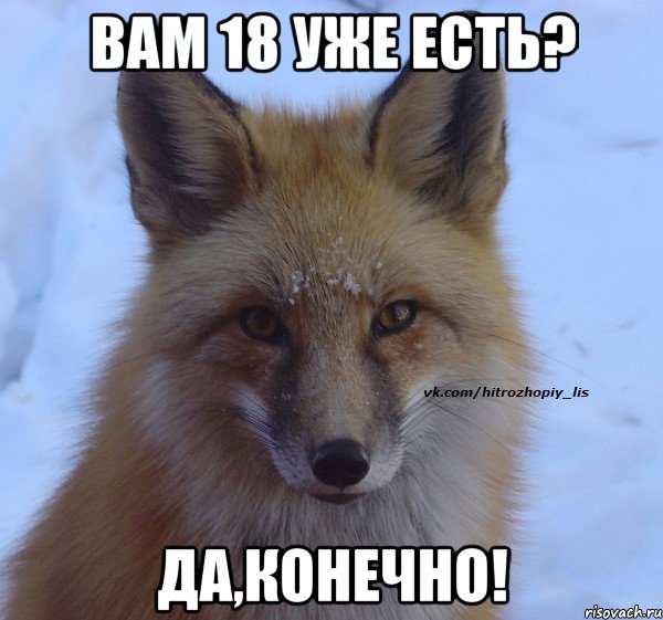 Вам 18 уже есть? Да,конечно!