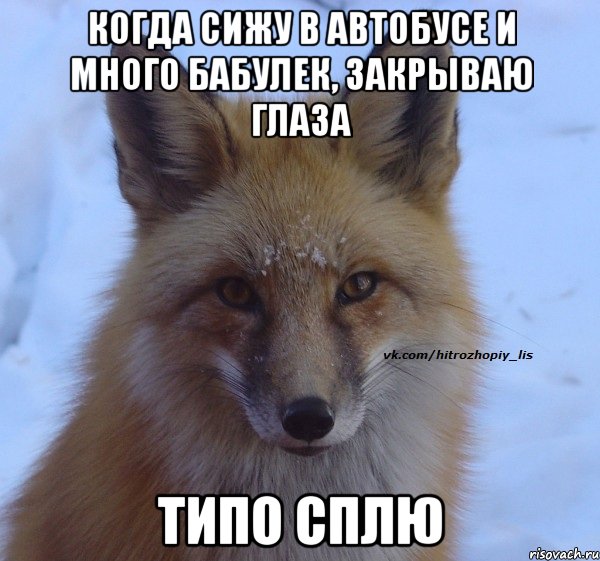 Когда сижу в автобусе и много бабулек, закрываю глаза типо сплю