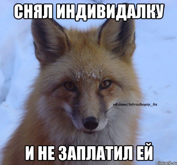 Снял индивидалку и не заплатил ей