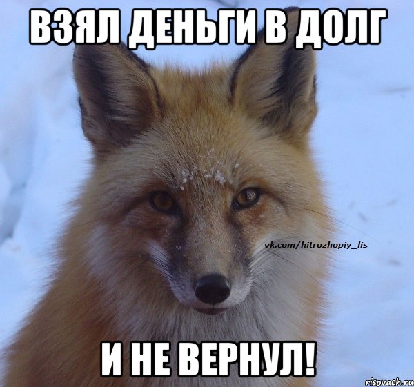Взял деньги в долг и не вернул!