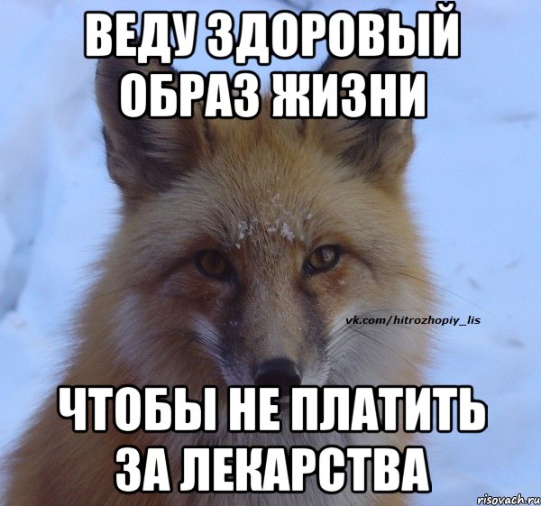веду здоровый образ жизни чтобы не платить за лекарства