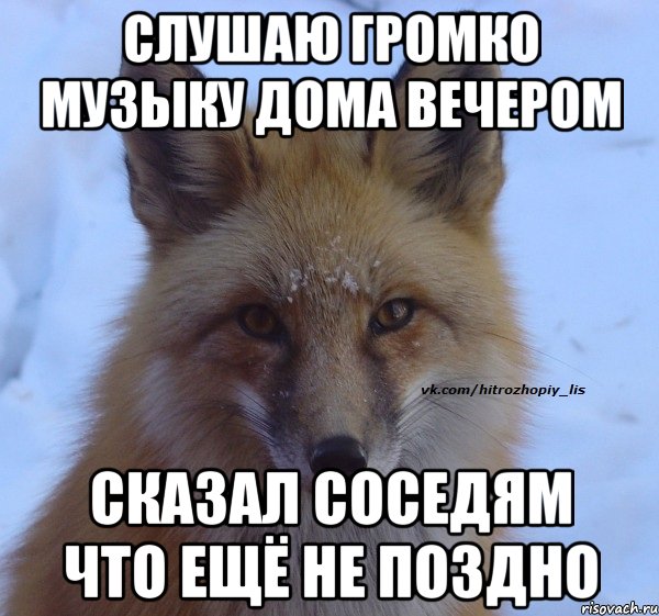 слушаю громко музыку дома вечером сказал соседям что ещё не поздно