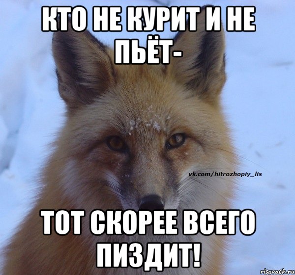 кто не курит и не пьёт- тот скорее всего пиздит!