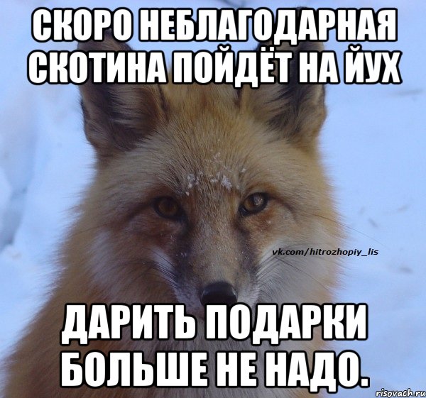 Скоро неблагодарная скотина пойдёт на ЙУХ Дарить подарки больше не надо.