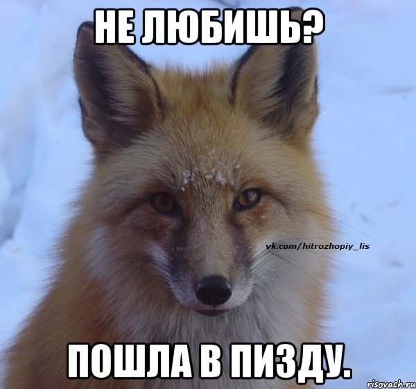 Не любишь? Пошла в пизду.