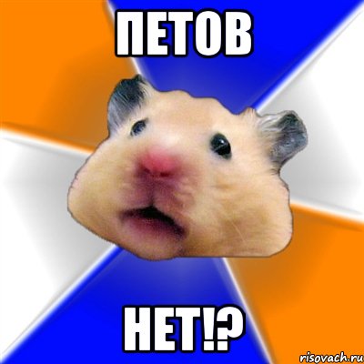 Петов Нет!?, Мем Хомяк