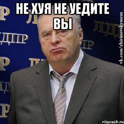 Не хуя не уедите вы , Мем Хватит это терпеть (Жириновский)