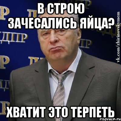 в строю зачесались яйца? хватит это терпеть, Мем Хватит это терпеть (Жириновский)