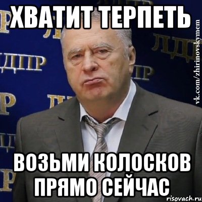 Хватит терпеть Возьми колосков прямо сейчас, Мем Хватит это терпеть (Жириновский)