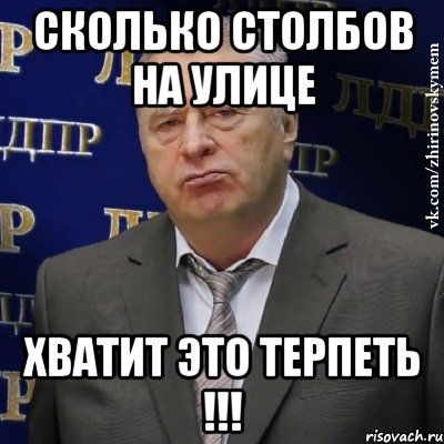 сколько столбов на улице хватит это терпеть !!!, Мем Хватит это терпеть (Жириновский)