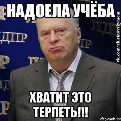 надоела учёба ХВАТИТ ЭТО ТЕРПЕТЬ!!!, Мем Хватит это терпеть (Жириновский)