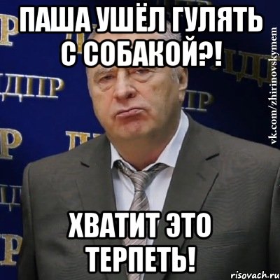 Паша ушёл гулять с собакой?! Хватит это терпеть!, Мем Хватит это терпеть (Жириновский)