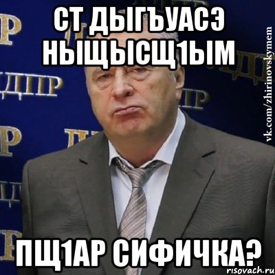 Ст дыгъуасэ ныщысщ1ым пщ1ар Сифичка?, Мем Хватит это терпеть (Жириновский)