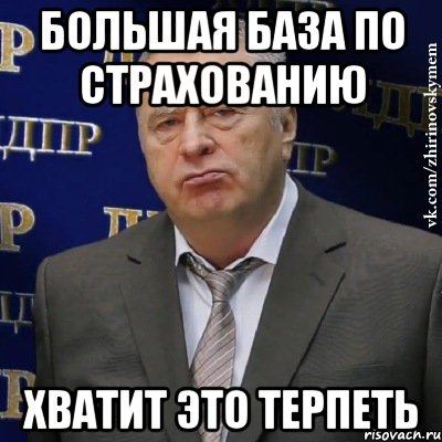 Большая база по страхованию Хватит это терпеть, Мем Хватит это терпеть (Жириновский)