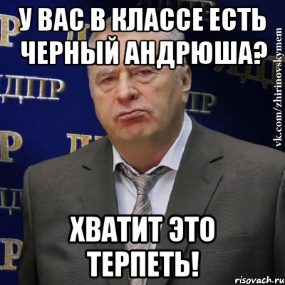 У вас в классе есть черный Андрюша? Хватит это терпеть!, Мем Хватит это терпеть (Жириновский)