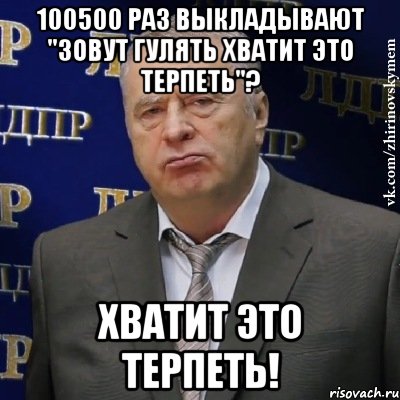 100500 раз выкладывают "зовут гулять хватит это терпеть"? хватит это терпеть!, Мем Хватит это терпеть (Жириновский)