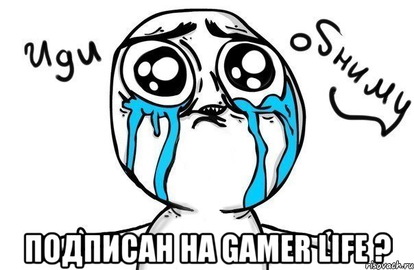  Подписан на Gamer Life ?, Мем Иди обниму